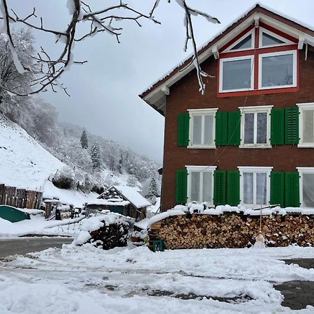 Old Farmhouse Loft Near Vaduz Sevelen Luaran gambar